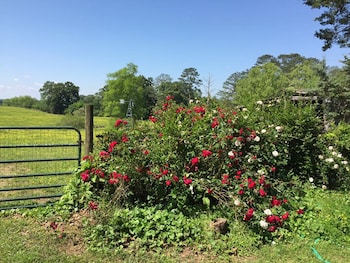 seventy four ranch