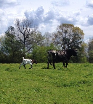 seventy four ranch