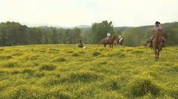 seventy four ranch