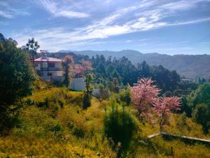 valleyview homestay