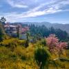 valleyview homestay