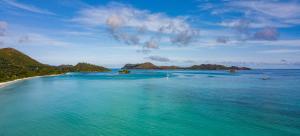 chauve souris relais