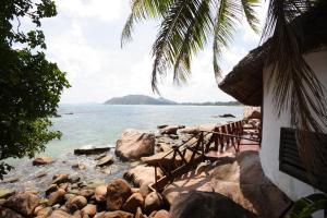 chauve souris relais