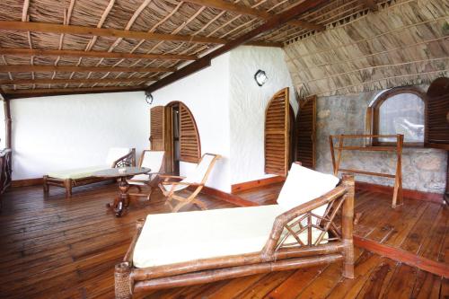 chauve souris relais