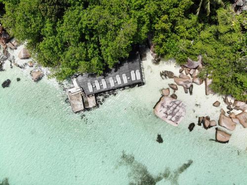 chauve souris relais