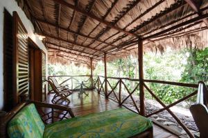 chauve souris relais