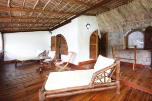 chauve souris relais