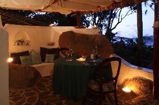 chauve souris relais