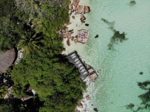 chauve souris relais