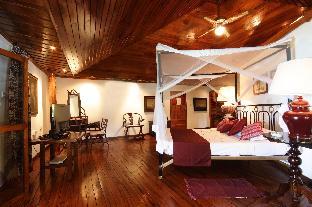 chauve souris relais