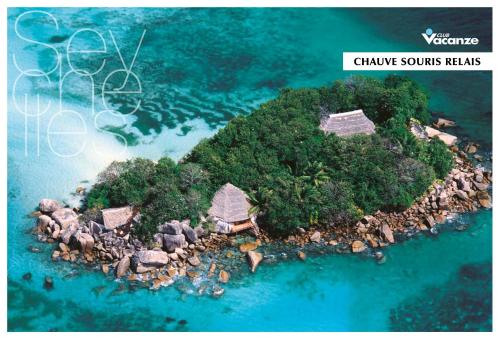 chauve souris relais