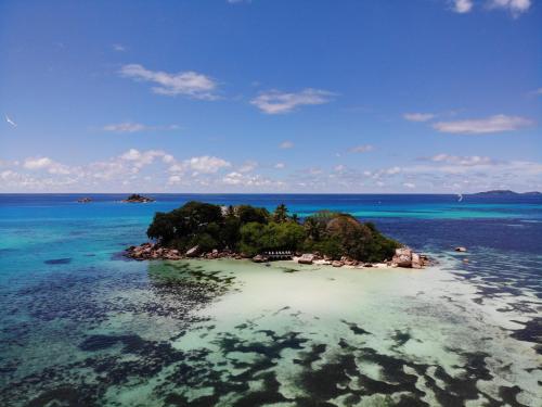 chauve souris relais