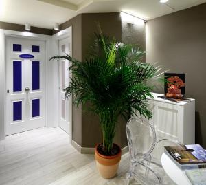 Pension Plaza Nueva,,3.5 star
