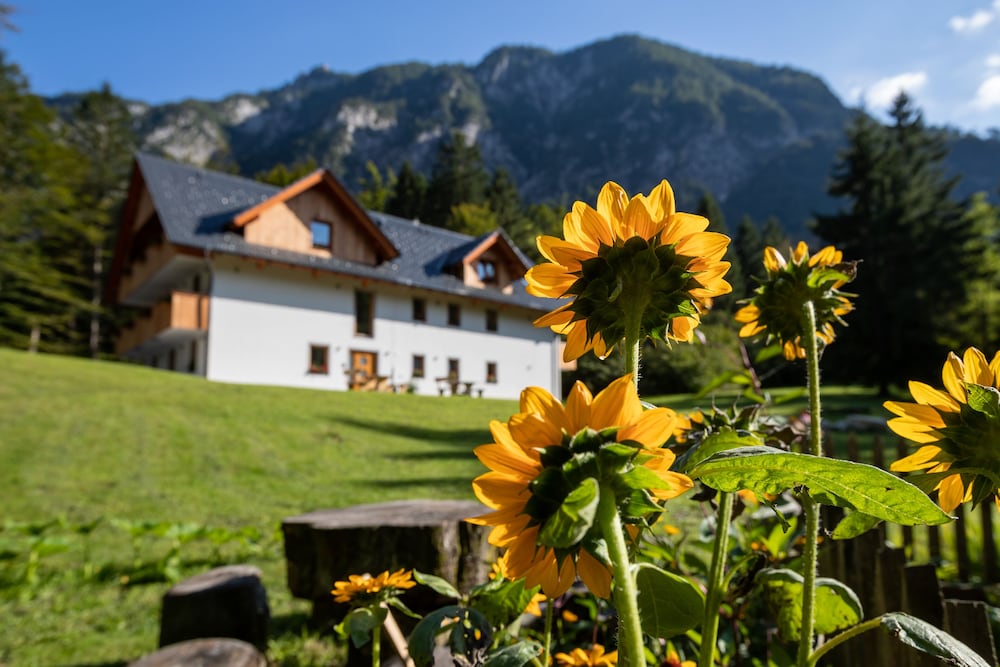 Apartments Goldhorn Kingdom,,0 star