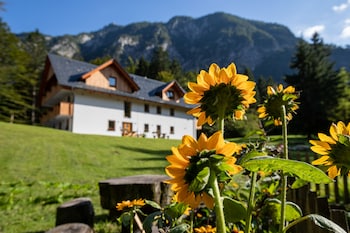 Apartments Goldhorn Kingdom,,0 star