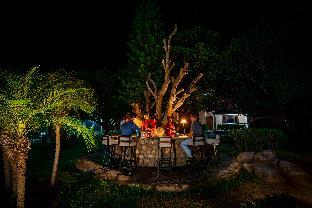 jim corbett ramnagar