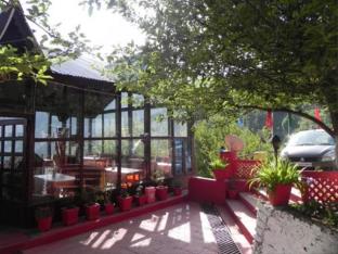 apple orchard resort