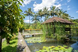 villa uma ayu sidemen
