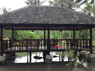 villa uma ayu sidemen