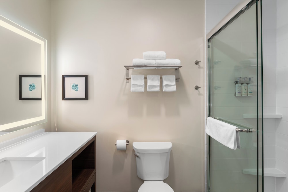 holiday inn and suites detroit troy an ihg hotel