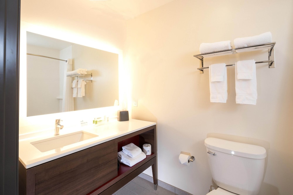 holiday inn and suites detroit troy an ihg hotel