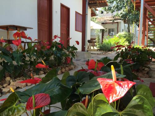 alto paraiso de goias