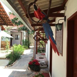 alto paraiso de goias