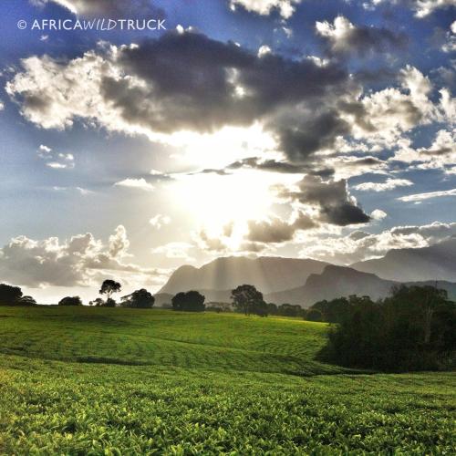 africawildtruck eco camp and lodge