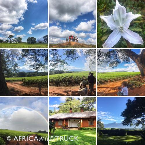africawildtruck eco camp and lodge