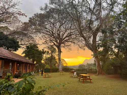 africawildtruck eco camp and lodge