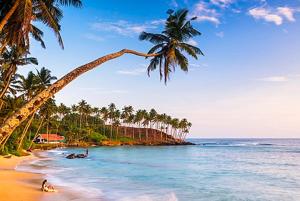 suriya guest home stay mirissa