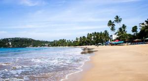 suriya guest home stay mirissa