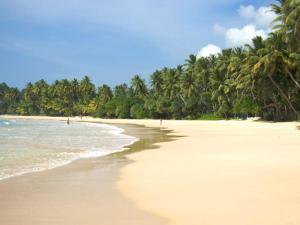 suriya guest home stay mirissa
