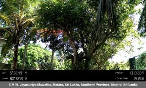 mirissa