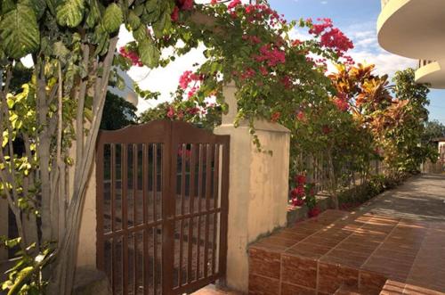 hostal sandrita