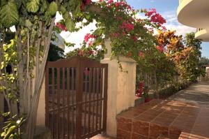 hostal sandrita
