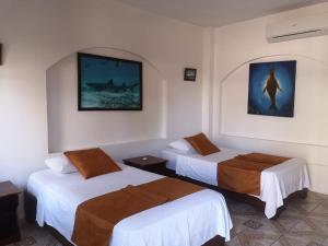 hostal sandrita
