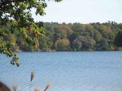 interlaken inn and resort