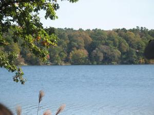 interlaken inn and resort