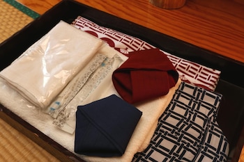 teiensaryo yamanakako