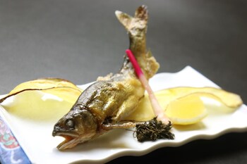 teiensaryo yamanakako