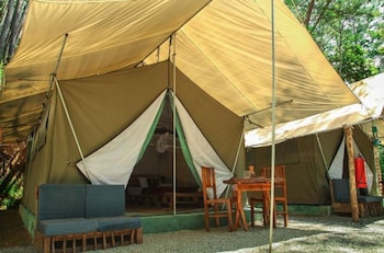 ella glamping