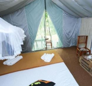 ella glamping