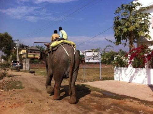 Shantidevi Ashram 'S Guest House,Bodhgaya>>Bodh Gaya,3 star