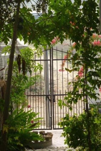 Shantidevi Ashram 'S Guest House,Bodhgaya>>Bodh Gaya,3 star