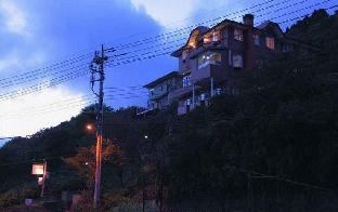 hakone elegance
