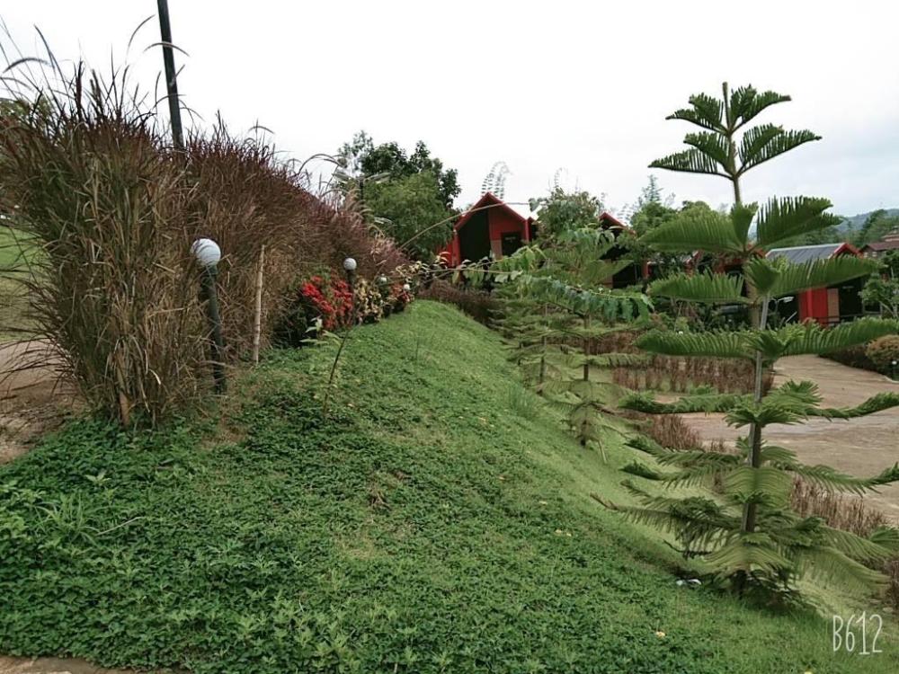 khao kho