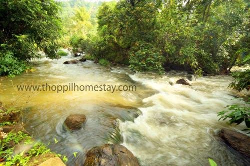 munnar