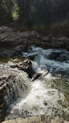 munnar