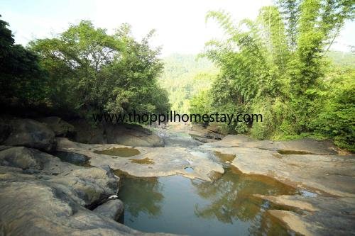munnar